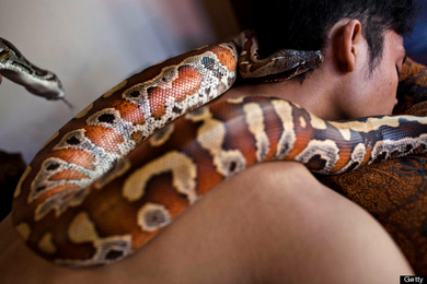 Would You Try These Unusual Massages?