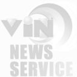  Profusion of pet food choices cooks up confusion 