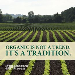 Organic Is Here To Stay