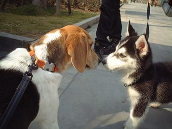 24 First Impressions Pitfalls All Credit Unions Should Avoid