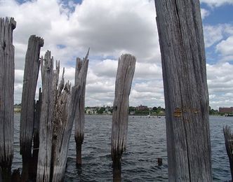 Cutting Down Marine Relics to Open Up Bay