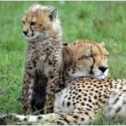 Using breast pumps: Does the time of day matter?