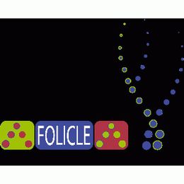 Go Bald to Beat Cancer with Folicle Salon and Spa