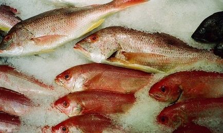 Fresh vs. Frozen: Who Wins the Fish Filet Fight?