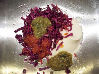 Don't Treat Your Garbage Disposal Like a Catchall