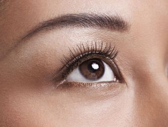 Basic Facts About the Human Eye