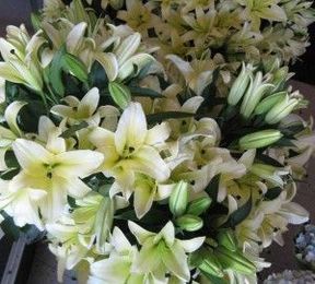 4 Things to Know Before Buying Bulk Wedding Flowers