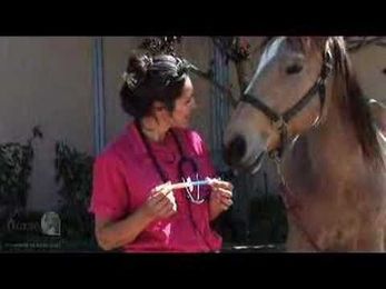 Horse Deworming Tutorial Video