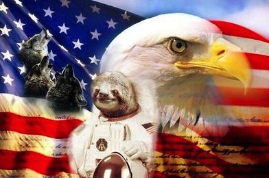 The Most American True Or False Quiz You'll Ever Take