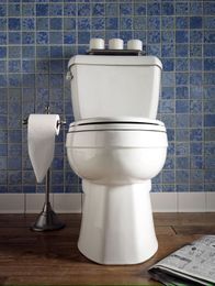 Upgrade to Eco-Friendly Plumbing (and Increase the Value of Your Home)