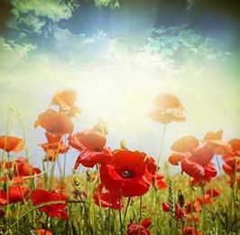 Alcoholism: What to Do If You Relapse