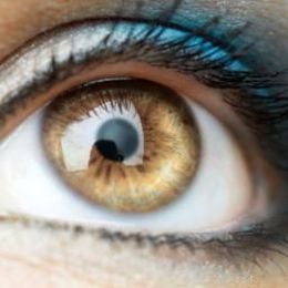Human corneas regrown to restore vision