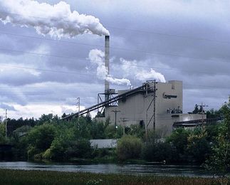 For paper mills and cogeneration, everything old is new again