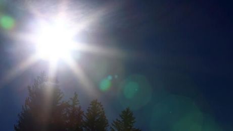 ​Tips for preventing child deaths in hot cars