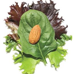 Powerful Food Pairings That Fight for Your Health