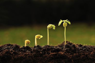 014: How to Develop a Social Business Strategy and Plan