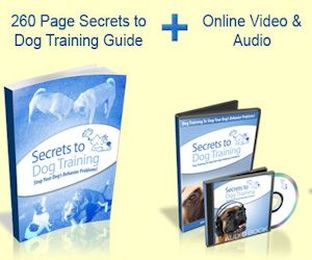 Train Your Dog the Loving Way