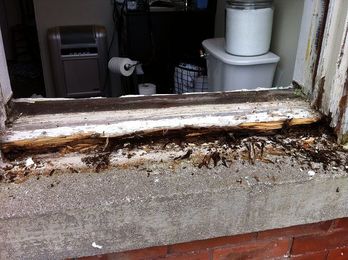 Ask the Expert: Window Trim Rot Repair