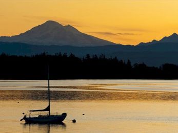 Back to Basics (Again) with Enterprise Collaboration