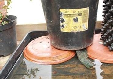 A guide to watering your container garden