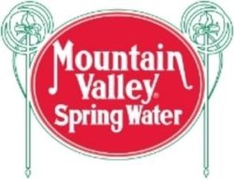 Mountain Valley Spring Water: Hydration at its finest