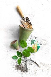 5 Local Shops that will Make Your Outdoors Great