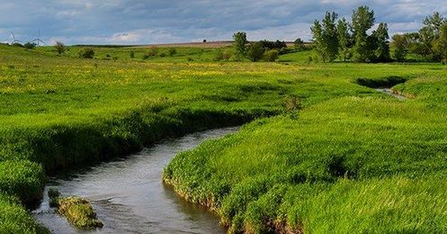 Bee-Killing Pesticides Found in Midwest Rivers