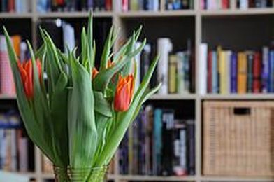 Three Interior Design Rules Everyone Should Know