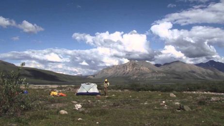 Dalton Discoveries: A Rare Opportunity