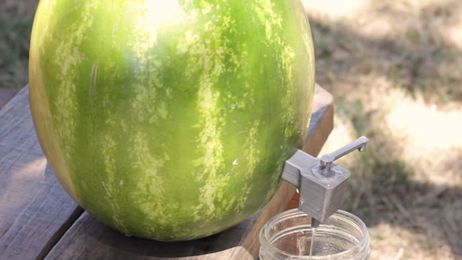 How to Make a Watermelon Keg in 7 Steps