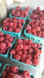 Your Questions, Answered: How Organic Are these Berries?