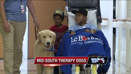 Four-Legged friends help with healing and recovery