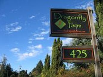 Dragonfly Floral: Design School & Classes