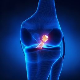 Physical Therapy and ACL Injuries : What You Don't Know Might Hurt You