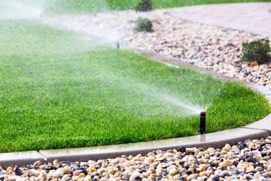 The Hidden Perils of Watering the Lawn