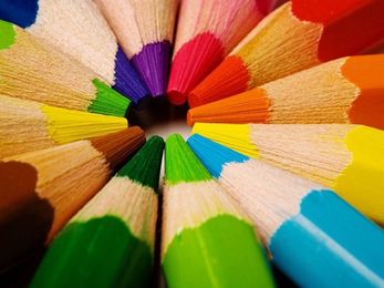Top 15 Best Color Tools for Web Designers
