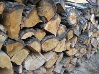 Choosing the Right Firewood