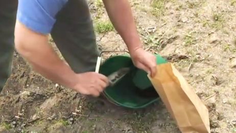 Taking a Soil Sample