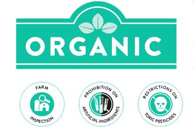 What Does ‘Humane’ Mean Anyway? The Ultimate Guide to Meat Labels