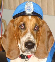 Petsnaps: Staten Islanders share their favorites