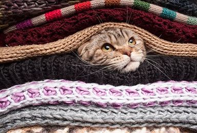 5 Things To Hide During Your Open House