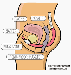 Are Women at Gyms increasing their Risk?