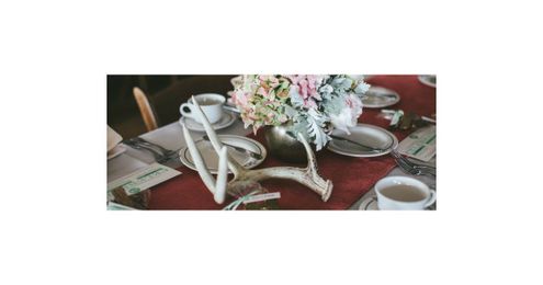 Rustic to Refined: 3 Ways to Take Antlers Beyond the Wall