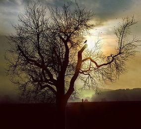 4 Short Stories that Will Change the Way You Think