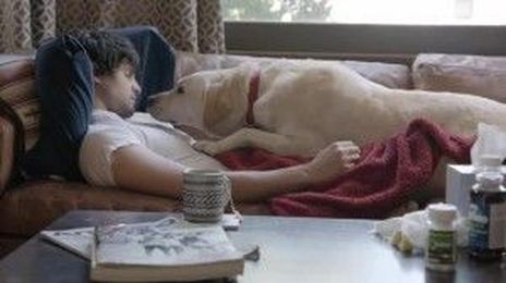 Let’s Raise a Paw to Budweiser