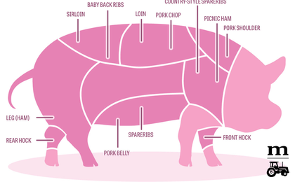 Pork 101: Know Your Cuts