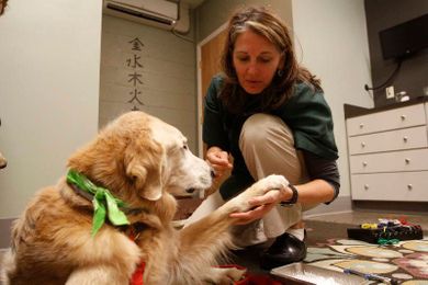 Under the Skin: Acupuncture is used to treat far more than just pain