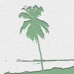 Why Caribbean Sustainability is Smart