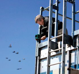 Keeping The Birds Away