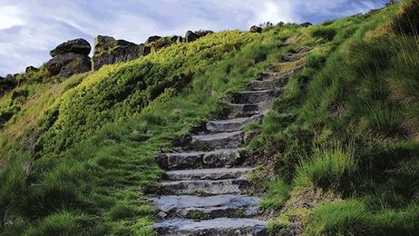 A 12-step Journey to Order Picking Perfection